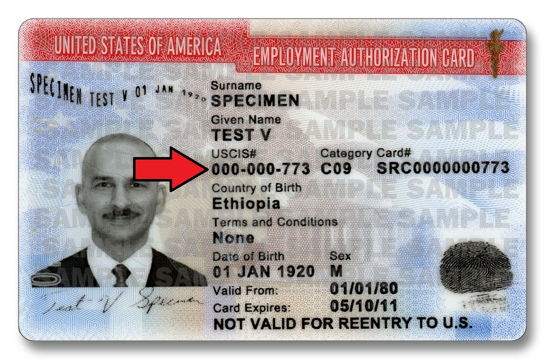 alien-registration-number-on-ead-card