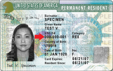 alien-registration-number-on-green-card