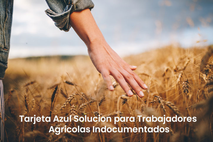 Tarjeta Azul Solucion para Trabajadores Agricolas Indocumentados