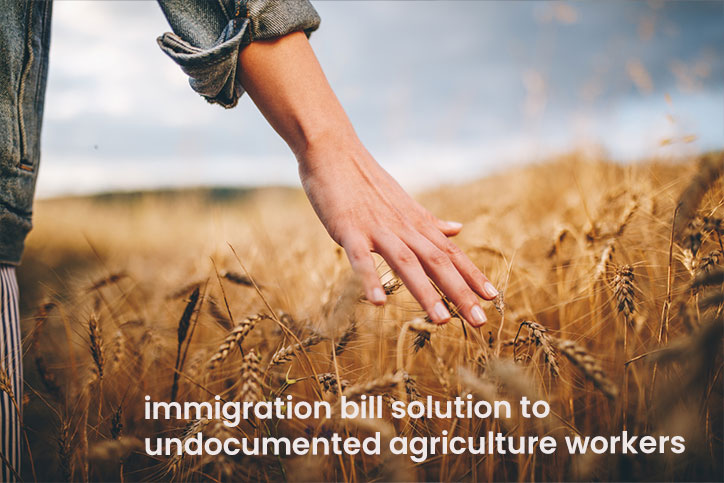 immigration bill solution to undocumented agriculture workers