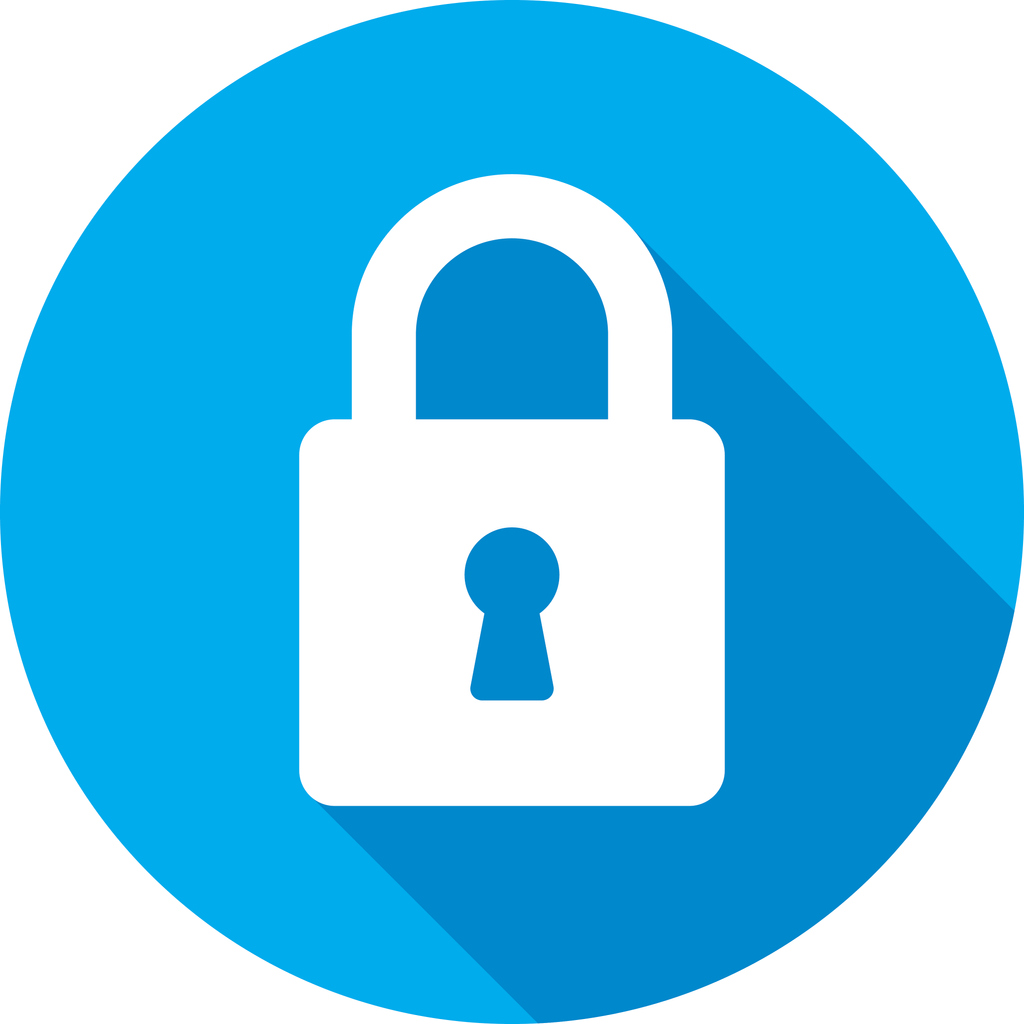 secure data encryption icon